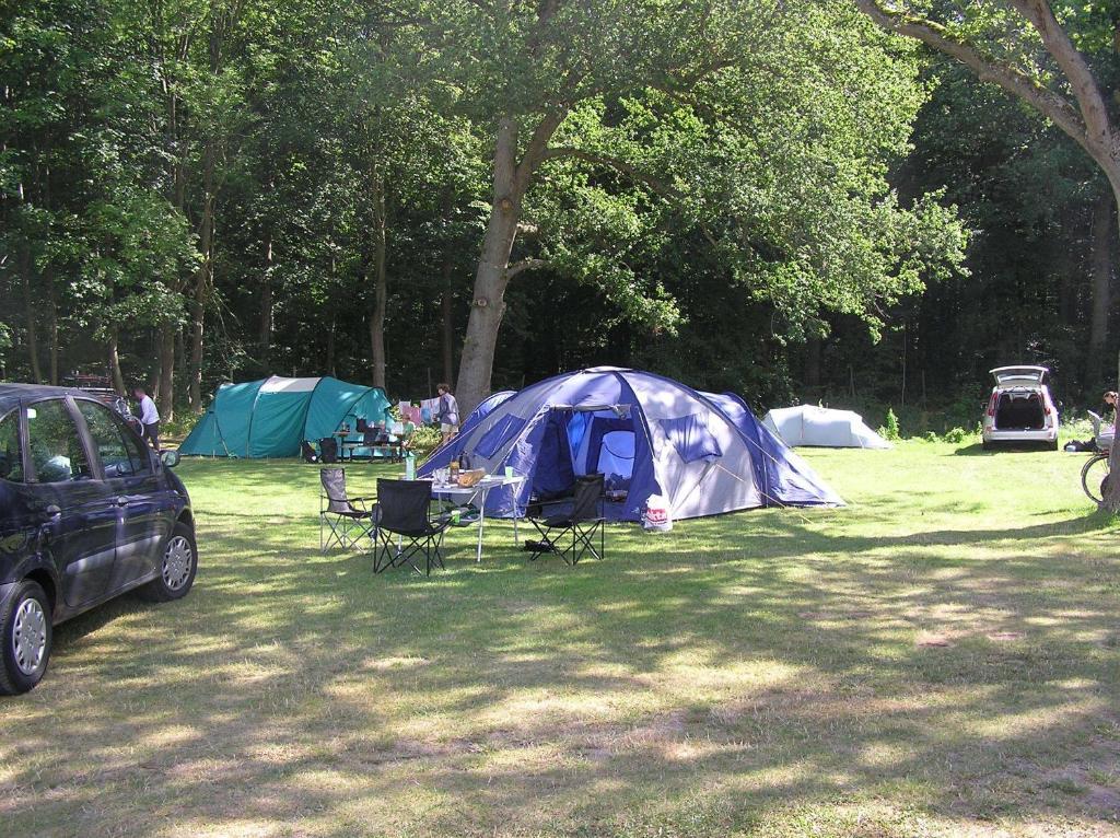 & Campsite